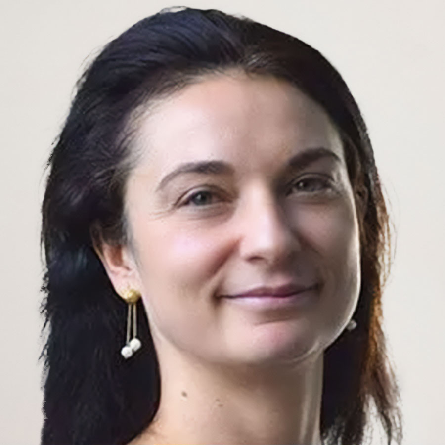 Dr. Alessandra Menicucci (Delft University of Technology)