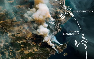 Can Satellites Spot Wildfires Before They Rage?